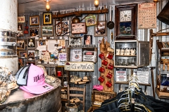 DSC_3369-X2-Howard-Neviser