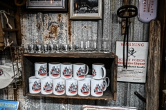 DSC_3371-X2-Howard-Neviser