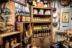 DSC_3373-X2-Howard-Neviser