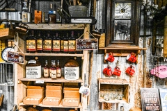 DSC_3376-X2-Howard-Neviser