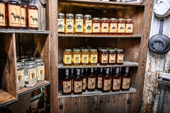 DSC_3377-X2-Howard-Neviser