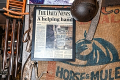 DSC_3379-XL-Howard-Neviser