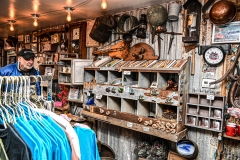 DSC_3382-X2-Howard-Neviser