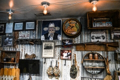 DSC_3385-X2-Howard-Neviser