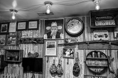 DSC_3386-X2-Howard-Neviser