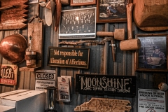 DSC_3391-X2-Howard-Neviser