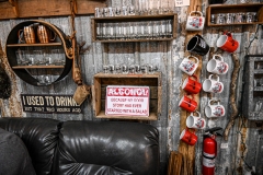 DSC_3394-X2-Howard-Neviser