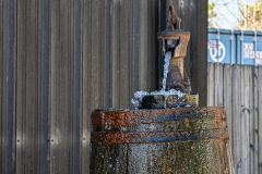 DSC_3418-X2-Howard-Neviser