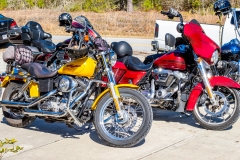 untitled-41-X2-Robert-Dumon